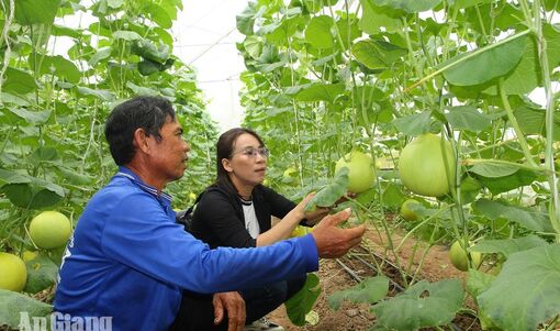 Châu Phong đưa chuyển đổi số đến gần dân