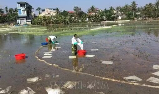 Chỉ thị của Bộ Chính trị về bảo đảm an ninh môi trường trong thời kỳ phát triển mới