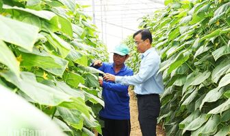 Khơi dậy tinh thần dám nghĩ, dám làm, dám chịu trách nhiệm