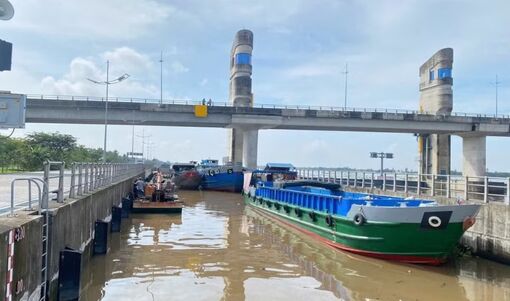 Đồng bằng sông Cửu Long chủ động ứng phó nguy cơ hạn hán, xâm nhập mặn
