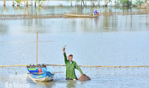 Nghề đẩy côn miền Tây
