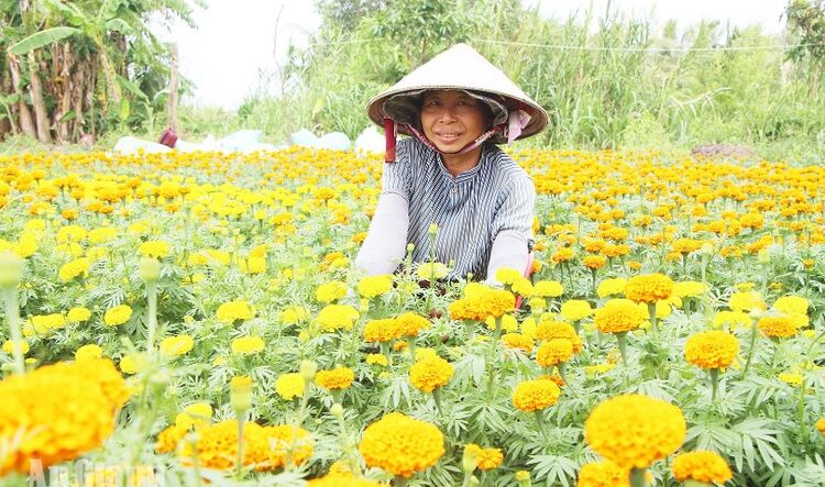 An Giang quyết tâm thực hiện thắng lợi các mục tiêu, kế hoạch đề ra