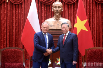 [Ảnh] Tổng Bí thư, Chủ tịch nước Tô Lâm tiếp Thủ tướng Ba Lan Donald Tusk