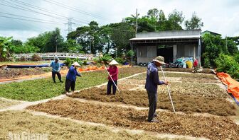 An Giang: Những tấm lòng thiện nguyện góp sức vì bệnh nhân nghèo