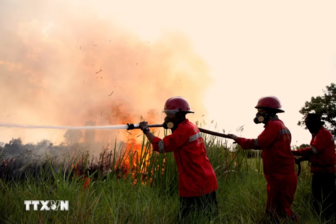 Cháy rừng đe dọa di sản tranh hang động cổ nhất thế giới tại Indonesia