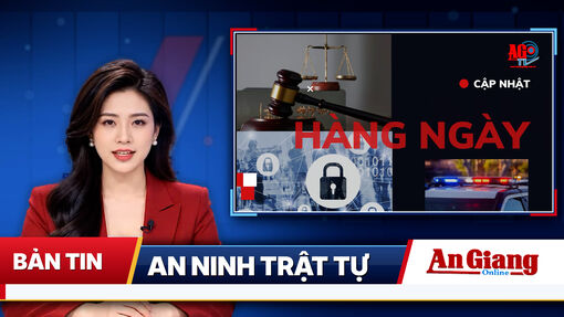 [Video] ANTT 26/10/2026: Mr Pips, Shark Bình hầu tòa; phạt 80 triệu đồng vụ xe container lật ở Đồng Tháp