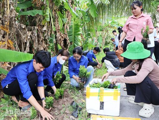 Châu Thành xây dựng “Ấp không ma túy”, khu dân cư đoàn kết
