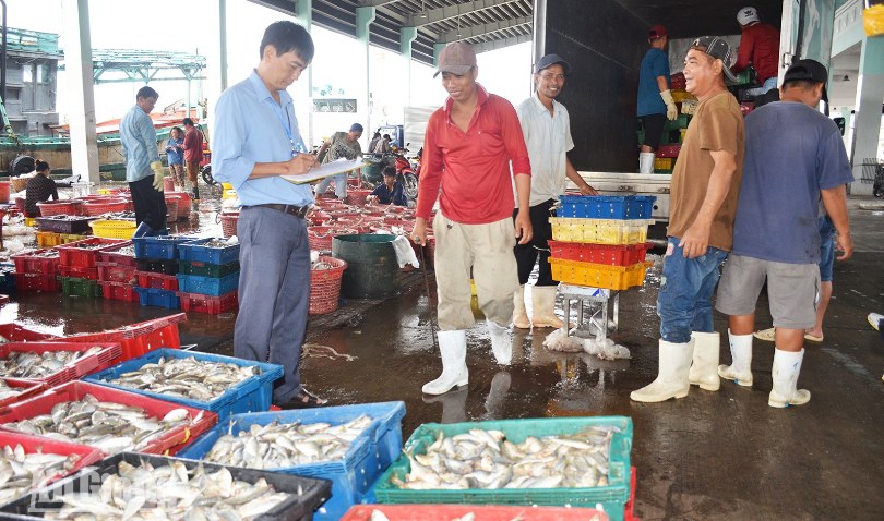 An Giang thực hiện cao điểm chống khai thác IUU