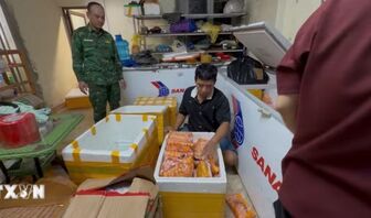 Triệt phá thành công đường dây tuồn hàng tấn thực phẩm bẩn mỗi ngày qua cửa khẩu