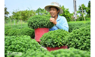 Ươm một mùa hoa
