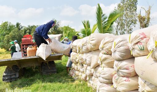 Chặng nước rút còn nhiều áp lực