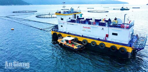 An Giang đặt mục tiêu nuôi biển đạt 250.000 tấn vào năm 2030