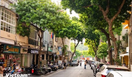 Phố Đinh Lễ - Nơi dành cho những tâm hồn mê sách giữa lòng Hà Nội
