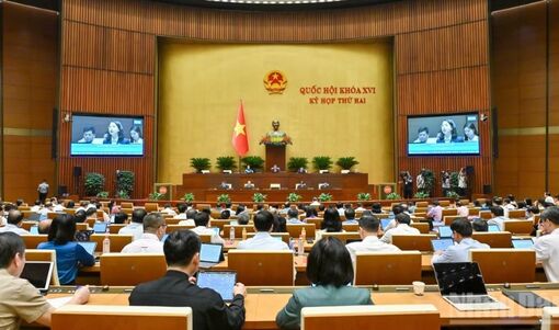 Sửa đổi Bộ luật Hình sự: Bảo đảm giữa nghiêm trị với khoan hồng, nhân đạo