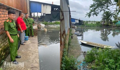 Hộ kinh doanh Lan Kiệt ở An Giang bị phạt 64 triệu đồng vì xả thải vượt chuẩn