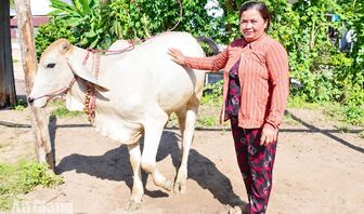An Cư hỗ trợ phụ nữ Khmer phát triển sinh kế, tăng thu nhập