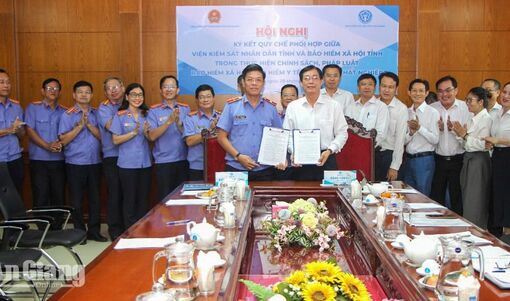An Giang phối hợp xử lý doanh nghiệp chậm đóng, trốn đóng bảo hiểm