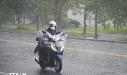 Thời tiết ngày 28/10: Trung Bộ tiếp tục mưa lớn, vùng biển có gió giật mạnh
