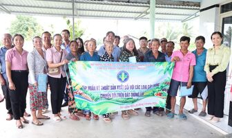 An Giang hướng dẫn hợp tác xã chuyển đổi cây trồng trên đất lúa