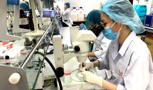 Trợ giảng đại học phải biết ứng dụng AI, sử dụng ngoại ngữ