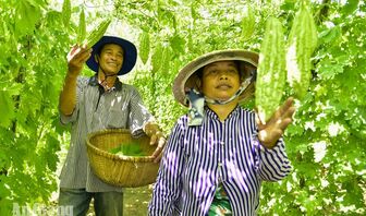 Ngân hàng Chính sách xã hội: 24 năm đưa đồng vốn ưu đãi tiếp sức người dân vươn lên