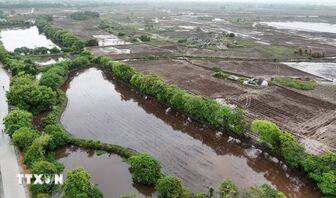 Huế: Làng cổ bên dòng Ô Lâu gìn giữ rừng lộc vừng trăm tuổi