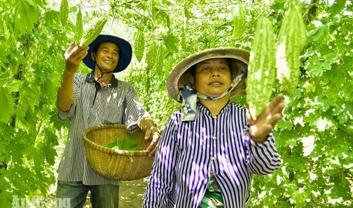 Ngân hàng Chính sách xã hội: 24 năm đưa đồng vốn ưu đãi tiếp sức người dân vươn lên