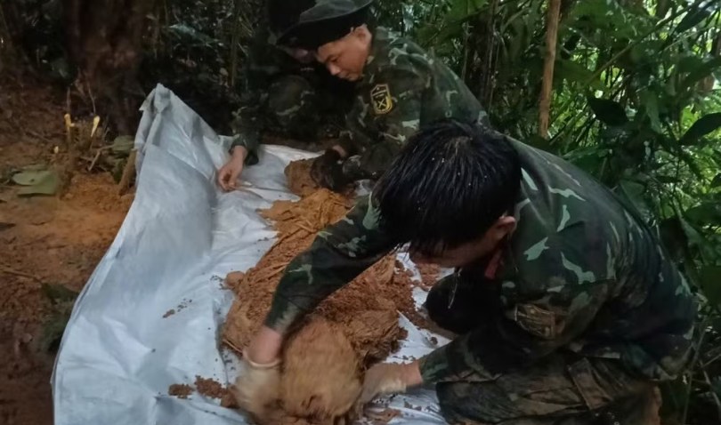 Phát hiện, cất bốc nhiều hài cốt liệt sĩ cùng di vật tại Quảng Trị