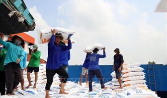 Giá gạo Việt Nam chạm đỉnh 22 tháng trước nỗi lo nguồn cung